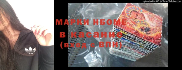 ГАЛЛЮЦИНОГЕННЫЕ ГРИБЫ Аркадак