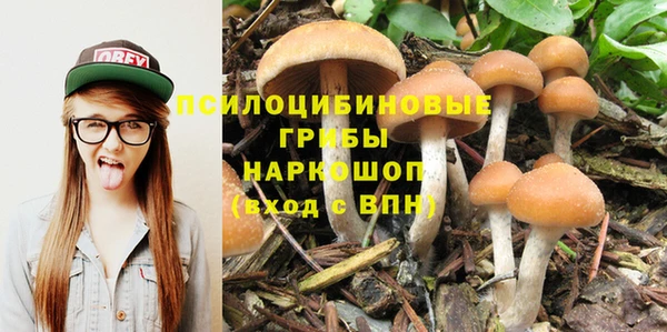 гидропоника Армянск