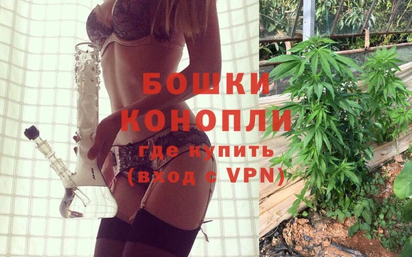 дурь Арсеньев