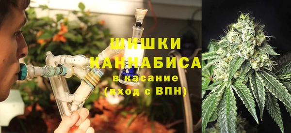 PSILOCYBIN Саяногорск