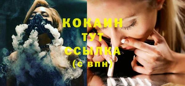 ГАЛЛЮЦИНОГЕННЫЕ ГРИБЫ Аркадак