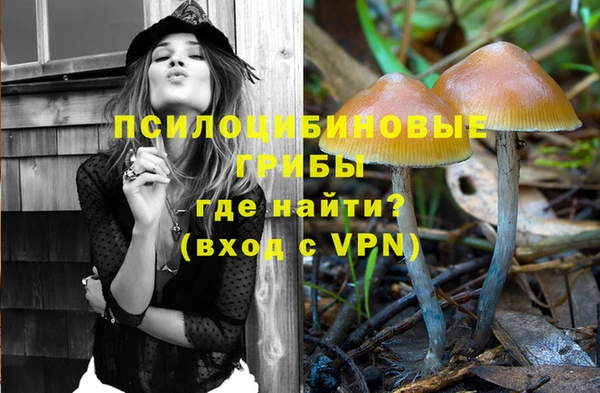 не бодяженный Сатка