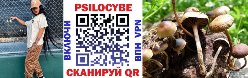 Галлюциногенные грибы прущие грибы  Лобня 